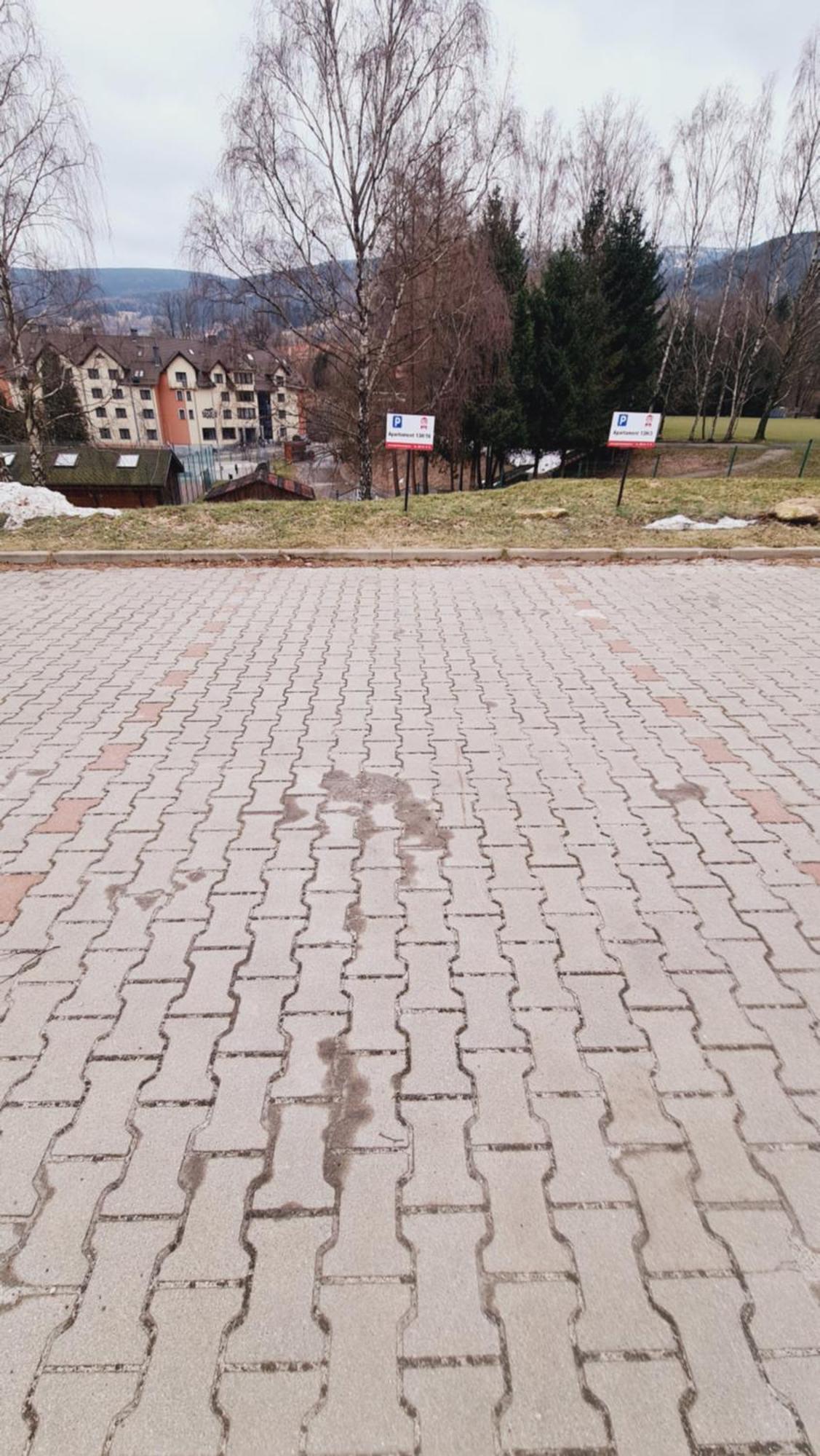 Apartament Zaczarowany Las - 5D Apartamenty Świeradów-Zdrój Esterno foto
